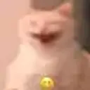 keppkopp