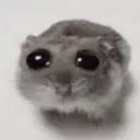 nenoname333
