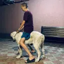 Пивопит