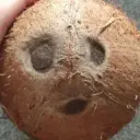 RTDMRT