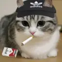 selfdest