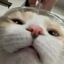 kill