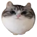 broodmother