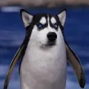 oscordik1