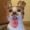 yukseleak