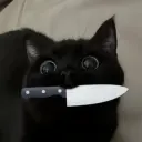 M3dw3D