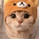 pdiddyANAL