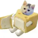 Мустафа