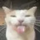 Kuriga