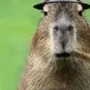 metemati