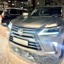 Мастодонт