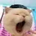 Kitt