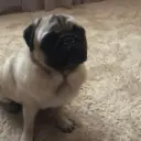maxnukit