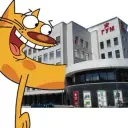 Qcqcxz