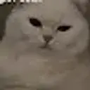 Disas