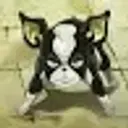 maplspear