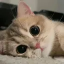 Tom