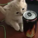 Emoused