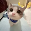 skibti