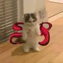 фанпей