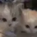 ws0rt