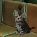 ohiec