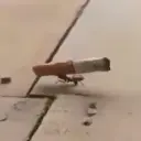 Lucky_strike