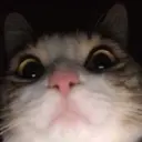 imspirittt