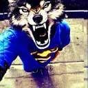 Chesterok1