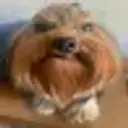 Skepek