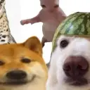 NeeBlog
