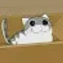 Lolz profile picture for @fraulein
