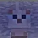Lolz profile picture for @pratyush