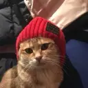 ddddaaaddda
