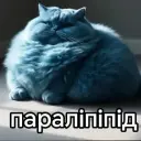 Qwerty7618