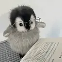 Psychopatka