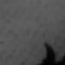 AliGonTop
