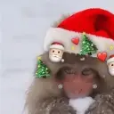 hahadama