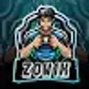 zon1x33