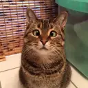 Agmerok