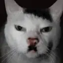 Котэ