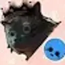 ncripton