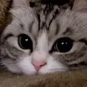M0nday
