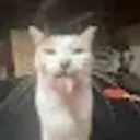 Lolz profile picture for @CuRRenT