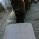 leirfn11