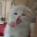 insiderok