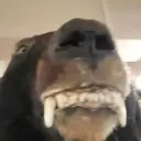 flayzerok