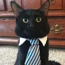 moneyceo