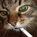 sleshhhhhh