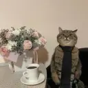 Lemonkas